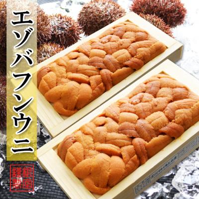 ふるさと納税 根室市 エゾバフンウニ100g×2折[11月中旬以降発送] C-71025