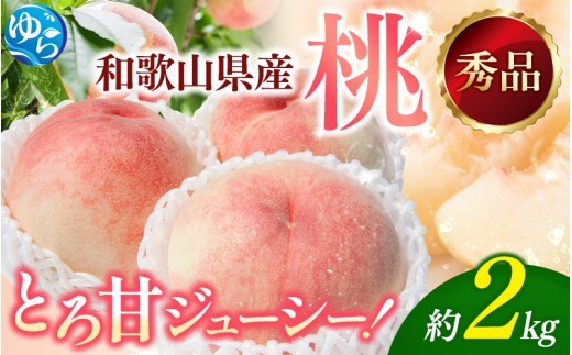
                  朝採れ 和歌山 桃　約2kg 秀品 ※2027年6月下旬～8月上旬頃順次発送予定 【tec910B】
                