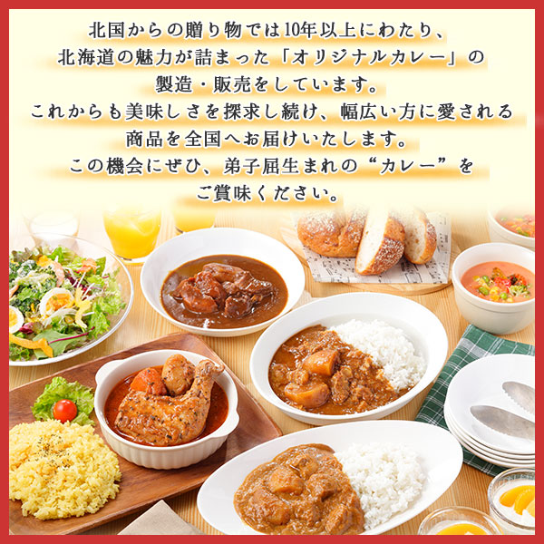 1447. 弟子屈 カレー 5種 計10個 中辛 バターチキンカレー スープカレー ビーフカレー ポークカレー 牛すじカレー 業務用 レトルト 北海道 弟子屈町_イメージ5