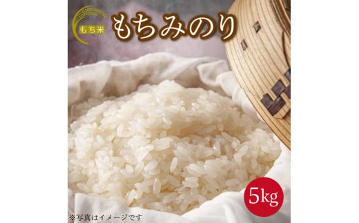 【 先行予約 】 米 もち米 5kg 令和7年産 餅 赤飯 おはぎ 5キロ お米5kg コメ 備蓄 備蓄米 保存 防災 災害 おこわ 雑煮 大福 あられ 阿波市 徳島県