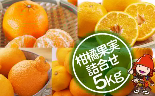 【期間限定】おはら果樹園果実詰め合わせ 約5kg | フルーツ 果物 くだもの 果実 柑橘 柑橘類 セット 詰め合わせ ( みかん ポンカン はるみ 不知火 等) おはら果樹園 国産 産地直送 大分県 中津市