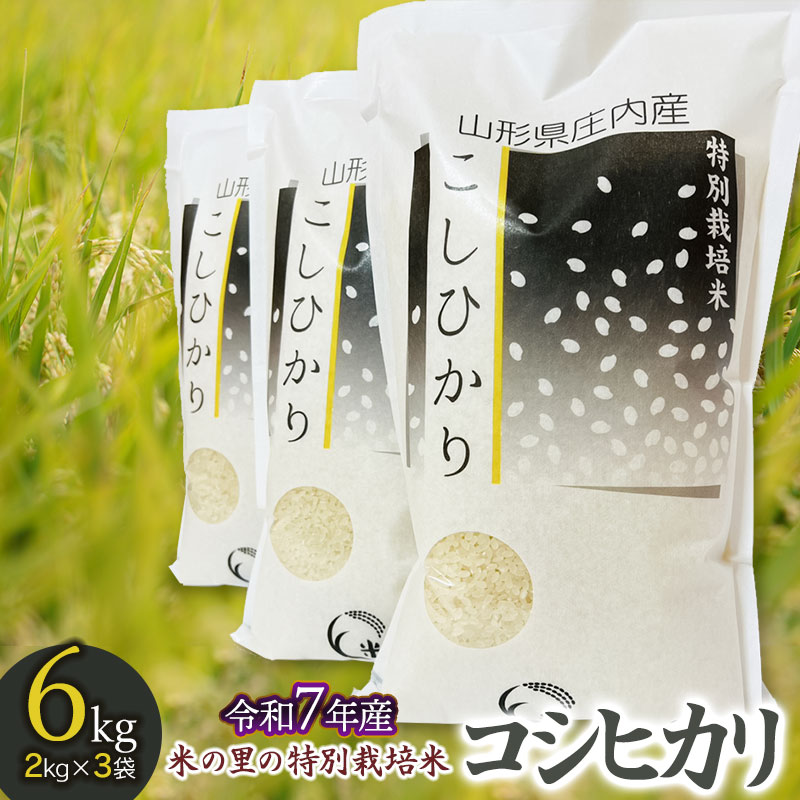 【ふるさと納税】【令和7年産先行予約】 米の里の特別栽培米 コシヒカリ 精米6kg（2kg×3袋）　山形県鶴岡市産　K-763