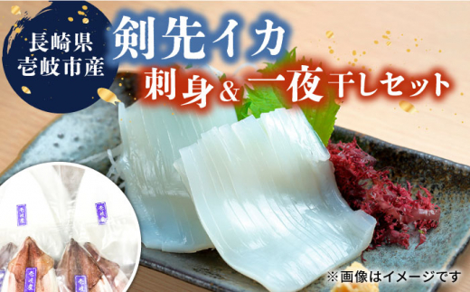 ★お中元 配送★ イカ 刺身 & 一夜干し 《壱岐市》【一支國屋】[JCC009]  剣先イカ 烏賊 いか 冷凍 冷凍配送 海鮮 刺し身 お刺身 ケンサキイカ 干物 ひもの 魚介 海産物 おつまみ イ