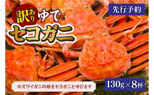 【訳あり 茹でセコガニ 約130g×8匹 冷蔵】】発送目安:11月中旬～12月中旬 濃厚なかにミソとやみつきになる内子、外子が絶品です 数量限定 産地直送 鮮度抜群 絶妙の塩加減での茹で上げ 大人気 ふるさと納税 香美町 香住 柴山 国産 カニ 松葉ガニ せいこがに メスガニ マルヨ食品 マルヨダイレクト 22000円 17-14