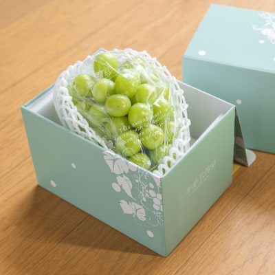 特選大房シャインマスカット1房(約700～800g) ふるさと納税【配送不可地域：離島・沖縄県】