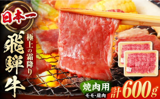 飛騨牛 焼肉用 モモ・肩肉 600g（300g×2）/ 焼肉 牛肉 和牛 / 白川町 / 浅井商店 [AWBJ001]