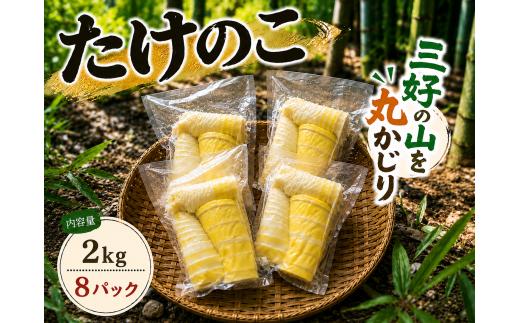たけのこ 2kg 250g ～ 300g × 8パック 水煮 筍 掘りたて 採れたて アク抜き済 国産 旬 野菜 山菜 オススメ 炙り焼き 和え物 炒め物 バター焼き 炊き込みご飯 青椒肉絲 お吸い物 春巻き 酢豚 天ぷら サラダ 土佐煮 煮物 お取り寄せ グルメ 酎ハイ ハイボール 焼酎 ビール カリウム 食物繊維 ヘルシー 旬 徳島県 三好市 miyoshi