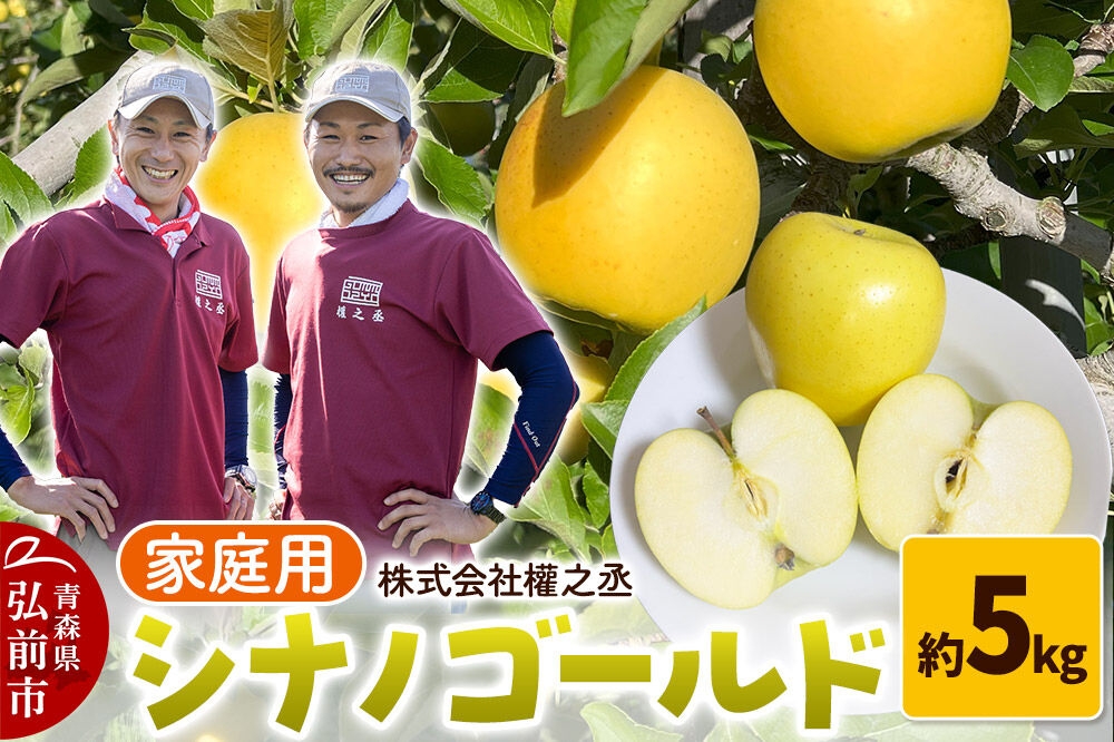 
                  【26年10月下旬～発送】りんご シナノゴールド【家庭用】約5kg 權之丞 青森りんご 青森県 弘前市 果物 フルーツ 林檎 リンゴ くだもの 不揃い 規格外 [産地直送 弘前市産 アップル おいしい 果実 美味 甘い 黄色]
                