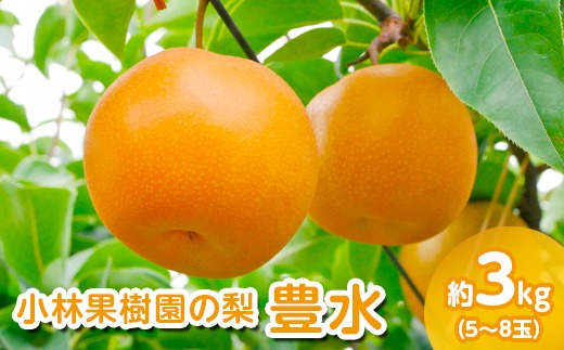 【先行予約】小林果樹園の梨 豊水 5～8玉 約3kg｜ほうすい 朝どり みずみずしい 梨 なし ナシ フルーツ 果物 常総市