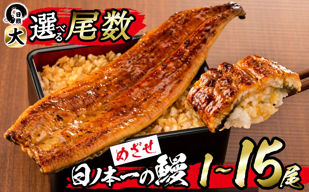 
            【家計応援】＜肝串3本付き！＞【尾数が選べる！】うなぎ生産量日本一の鹿児島県産！日ノ本一の鰻の蒲焼き＜大＞1尾～15尾！うなぎ 鰻 ウナギ 1尾 2尾 3尾 5尾 7尾 15尾 蒲焼き かばやき 冷凍 うな重 ひつまぶし タレ 山椒
          
