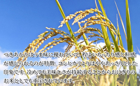 【令和5年産】宮城県産つきあかり 精米 白米 10合（一升） 1.5kg