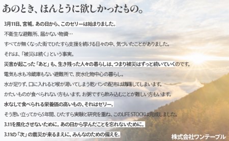 非常食 保存食 LIFE STOCK備蓄ゼリー　エナジータイプ2フレーバーセット 【04209-0079】 コンパクト 防災食 非常食 保存食 避難食 高カロリー アレルギー対応 水分補給