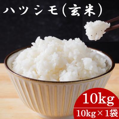 ふるさと納税 羽島市 令和7年産　岐阜県産ハツシモ(玄米)10kg  国産 米