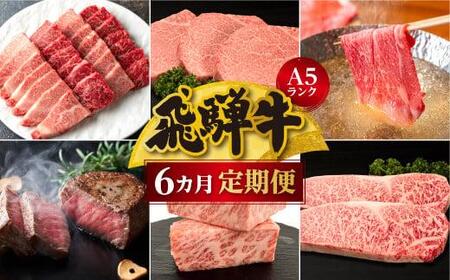 【定期便6ヶ月】 A5ランク肉 飛騨牛 定期便 約2.6kg(360g以上×6ヶ月) 牛肉 ( 焼肉 すき焼き しゃぶしゃぶ ステーキ 肩ロース ヒレ サーロイン もも バラ ) | 定期便 FH101