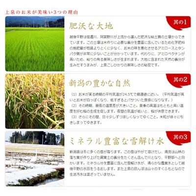 ふるさと納税 阿賀野市 【令和7年産先行受付】【新潟産コシヒカリ】 旧笹神村産 新潟の泉 5kg |  | 03