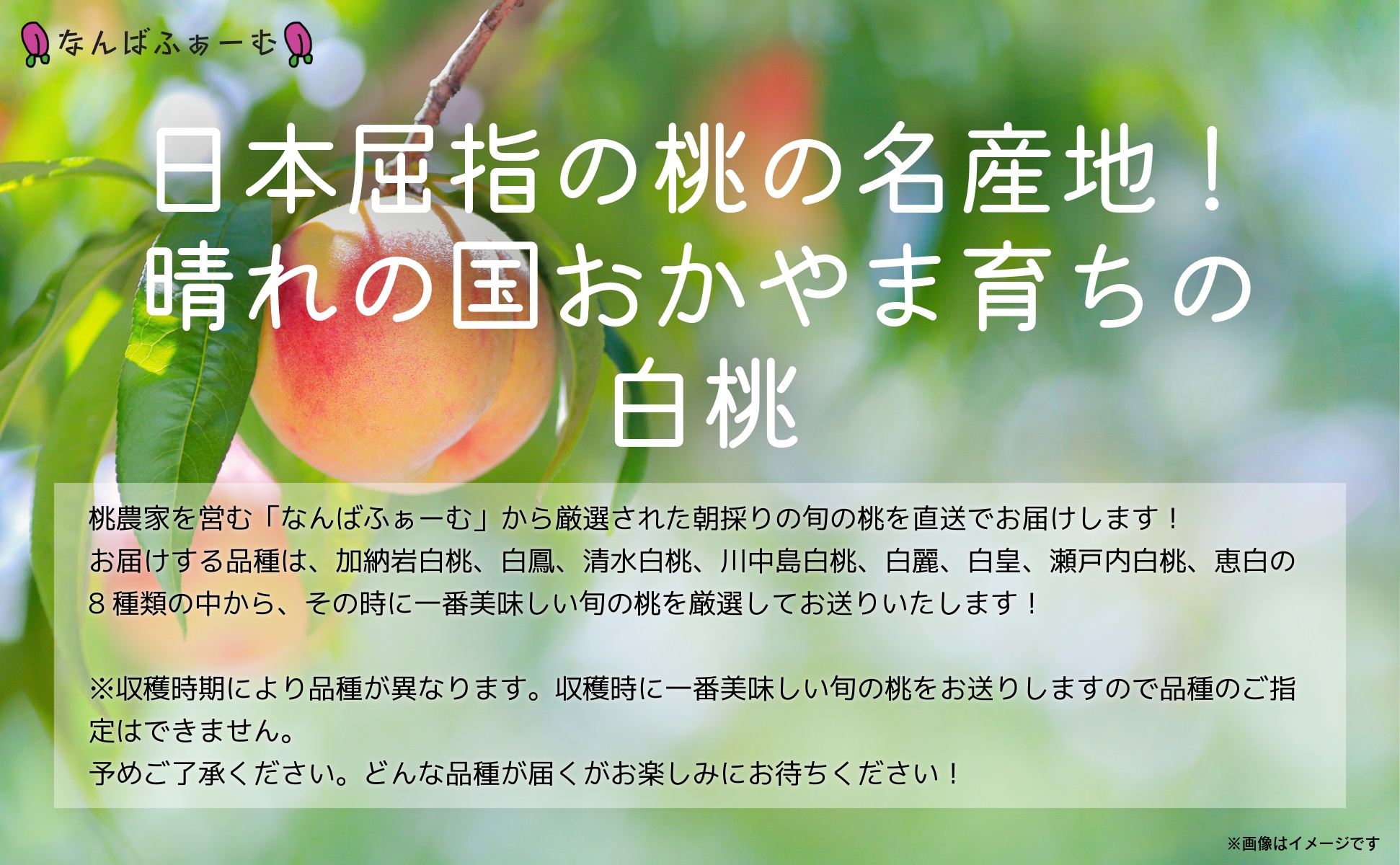 【2025年先行予約】［なんばふぁーむ］岡山県産 旬の桃 2.0kg（6～9玉）［ご家庭用］【039-a001】