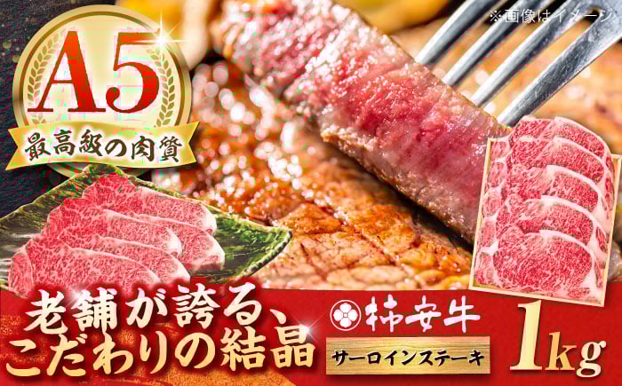 
            A5等級 柿安牛 サーロインステーキ 計1kg（200g×5枚） / 三重県産黒毛和牛 サーロインステーキ 国産和牛 a5 冷蔵 サーロインステーキ 赤身 すてーき 和牛 国産 / 亀山市 / 柿安本店 [AMBW005]
          