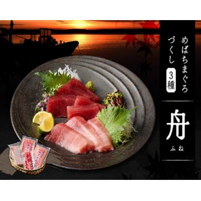 ふるさと納税 三浦市 めばちまぐろづくし 舟(ふね)