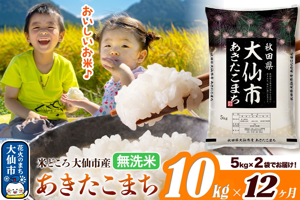 
                  米《定期便12ヶ月》あきたこまち【無洗米】米どころ秋田県大仙市産 あきたこまち 10kg（5kg×2袋） [米 お米 こめ 無洗米 精米 あきたこまち ブランド米 通算23回 特A 小分け ご飯 ごはん 米どころ 秋田県産 大仙市]
                