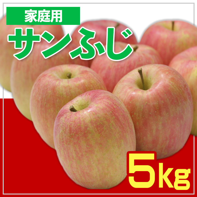 【家庭用】☆フルーツ王国山形☆ りんご (サンふじ) 5kg FY25-058