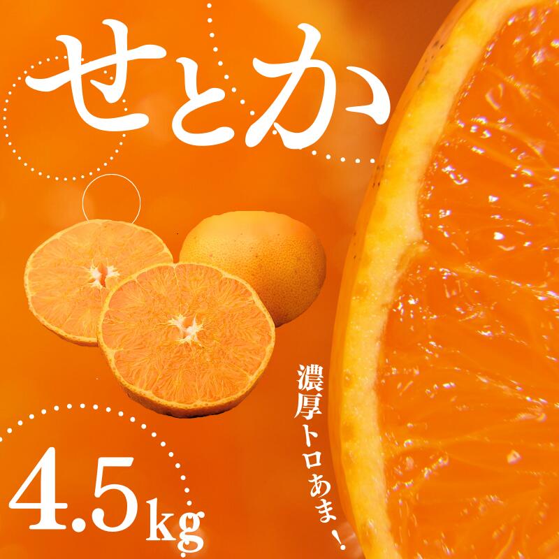 【ふるさと納税】 せとか ご家庭用 たにぐち農園の せとか 4.5kg 大小混合 【2026年3月から4月上旬までに順次発送】 みかん ミカン 蜜柑 柑橘 果物 くだもの フルーツ サイズ 不揃い 家庭用 予約 人気 ジューシー 甘い 産地直送 送料無料