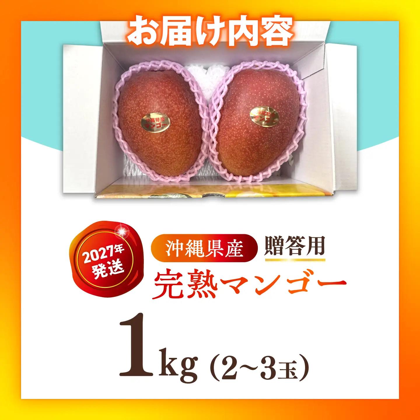 【2027年発送】完熟マンゴー 贈答用 1kg 沖縄 BCAN001