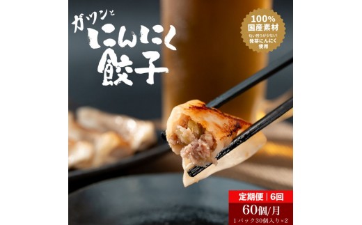 
[№5533-0375]【6か月定期便】発芽にんにく餃子30個入り2パック　餃子 にんにく にんにくたっぷり 国産にんにく 発芽にんにく 冷凍 臭わない 栄養価抜群 スタミナ 免疫アップ おつまみ おかず 総菜 餃子専門店 工場直売 定期便
