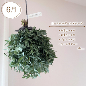 【定期便4回】 季節の草木花 花スワッグ リース 定期便 HO