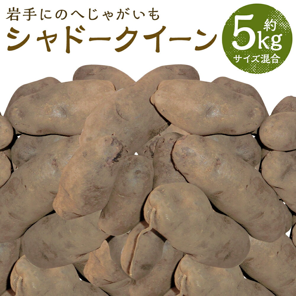 【ふるさと納税】厳選品 岩手にのへじゃがいも「伝」 シャドークイーン 約5kg サイズ混合 じゃがいも 芋 じゃが芋 野菜 二戸市産 岩手県産 国産 送料無料【2025年9月中旬～2026年2月下旬に順次発送予定】