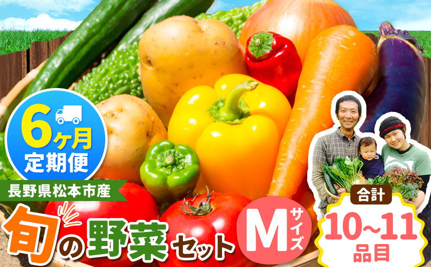 
【定期便6回】子育て農家の野菜セット（Mサイズ）農薬・化学肥料不使用 | 定期便 無農薬 野菜 やさい 長野県 松本市 信州産 ふるさと納税
