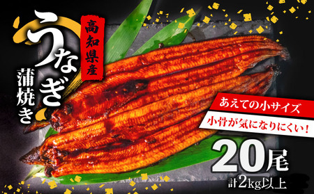 高知県産うなぎ蒲焼き 100g～120g×20尾 セット 蒲焼きのタレ 付き 冷凍 高知県 須崎市 （うなぎ 蒲焼き 冷凍 スタミナ 土用の丑の日 タレ 小分け タレ付 鰻 ウナギ）