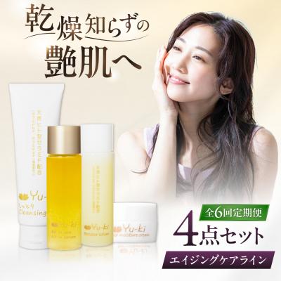 ふるさと納税 糸島市 【全6回定期便】エイジングケアライン 4点セット[AHJ036]