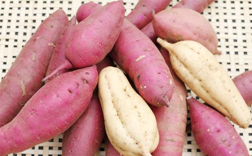 小さいものから大きいものまで様々。