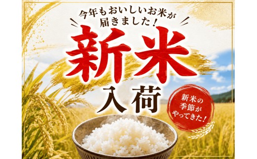 【新米/10月下旬発送】令和8年産 ひとめぼれ 20kg 白米 岩手ふるさと米 米 小分け 袋 ｜ お米 コメ 20キロ 災害 備蓄 防災セット 非常食 白飯 ごはん 炊飯 レトルト カレー いわて 