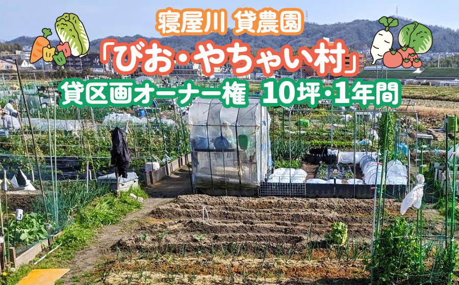 
寝屋川農園「びお・やちゃい村」貸区画オーナー権 (10坪・1年間)｜貸し農園 家庭菜園 自家栽培 収穫体験 農業体験 果物 野菜 数量限定 大阪府 寝屋川市 [0027]
