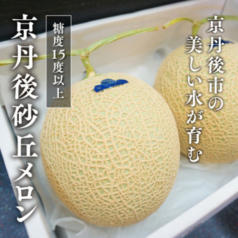 【ふるさと納税】糖度15度以上！京丹後砂丘メロン2玉入り　（2Lサイズ以上）／北畿水産(2025年6月下旬～発送) 国産 2玉 フルーツ 果物 メロン 砂丘メロン 甘い 糖度 京都 ふるさと納税 フルーツ ふるーつ くだもの ご当地メロン めろん 生産者応援 農家応援