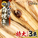 【ふるさと納税】戸村川魚店の国産うなぎ 白焼き特大サイズ 3尾 セット_ ウナギ 鰻 肉厚 蒲焼 蒲焼き かば焼き たれ 山椒 【配送不可地域：離島・沖縄県】【1040828】