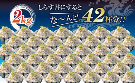 訳あり 釜揚げ しらす 冷凍 2kg 駿河湾 沼津