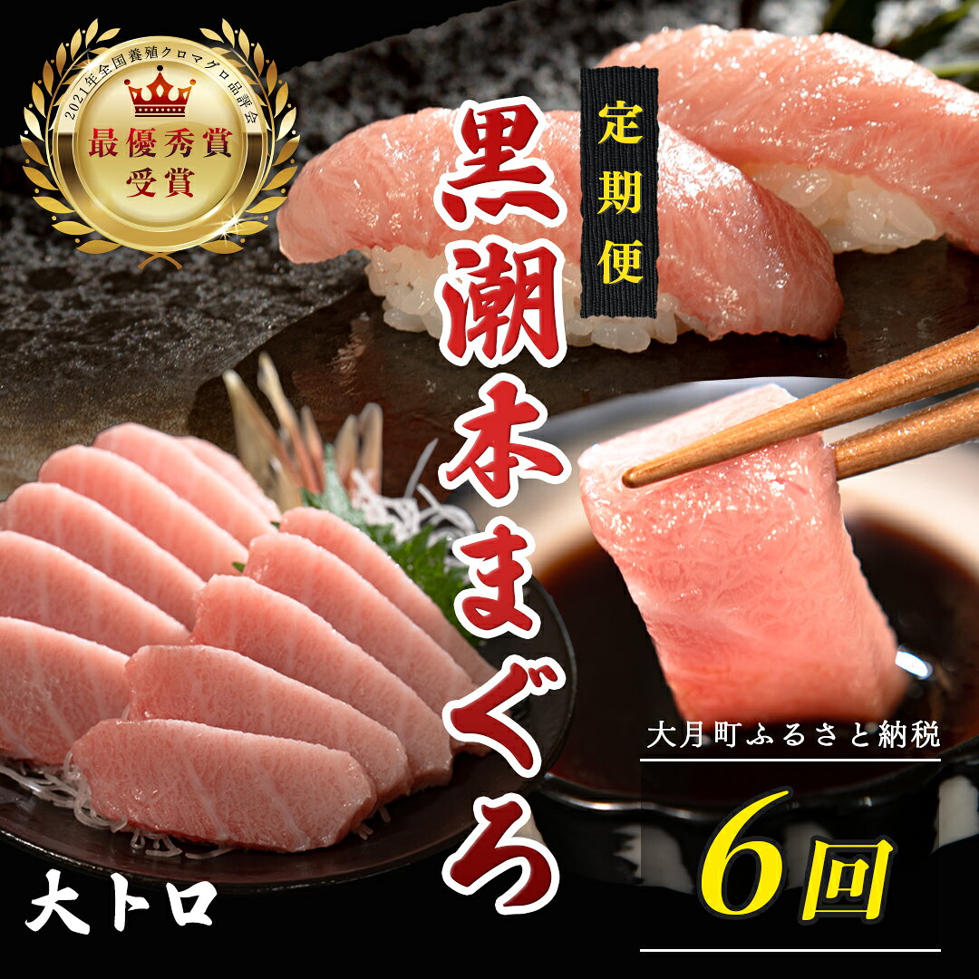 【ふるさと納税】 訳あり 不定貫 定期便6回 日本一!黒潮本まぐろ 大トロ