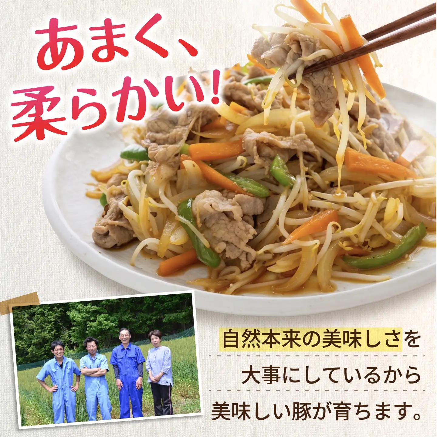 《バラ凍結》あんしん豚 モモ・カタ こま切れ 1kg（500g×2袋）豚肉 豚こま 豚コマ 豚小間 大容量 薄切り 国産 国産豚肉 無薬 無薬育ち 冷凍 白川町 / 藤井ファーム[AWAF096]