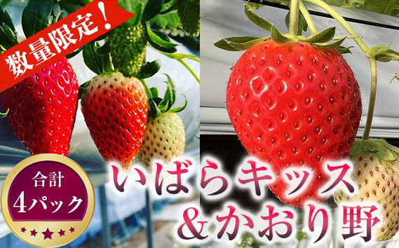 先行予約［坂東市産］いばらキッス＆かおり野　合計4パック食べ比べセット　朝採り直送