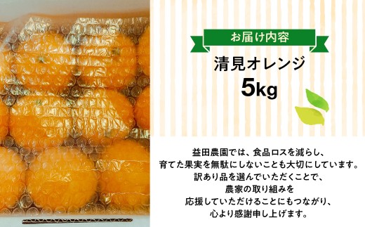 【先行受付】◆愛媛みかん西宇和益田農園より直送～　「清見オレンジ」爽やかな甘さが魅力！！　５kｇ【103-4】 果物 くだもの 清見 清見オレンジ きよみ みかん ミカン 蜜柑 柑橘 フルーツ 選べる