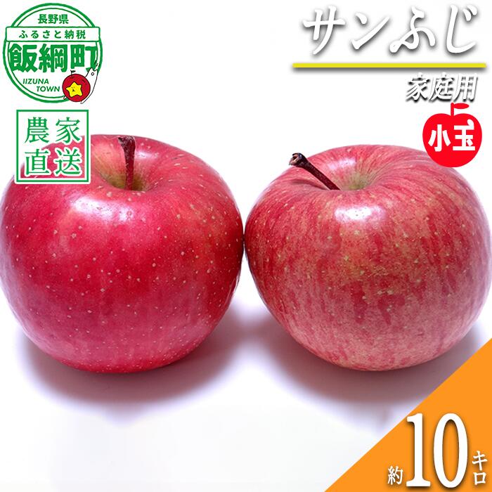 【ふるさと納税】 りんご サンふじ 小玉 10kg 家庭用 一里山農園 沖縄県への配送不可 〔 果物 フルーツ 林檎 長野 予約 農家直送 10キロ 20000円 〕【令和8年度収穫分】 発送：2026年12月上旬〜