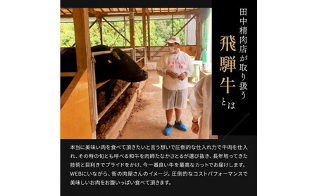 飛騨牛 サーロイン / リブロース 500g しゃぶしゃぶ