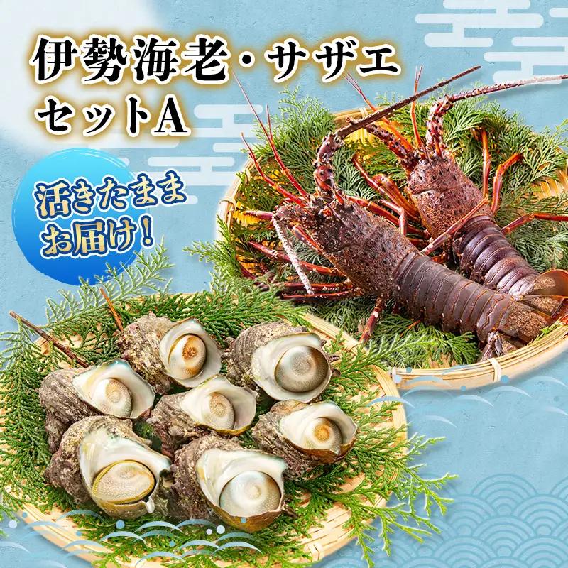 海鮮セット 活伊勢海老 サザエ Aセット 2〜15匹 海鮮セット