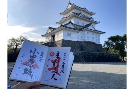 小田原城御城印・御城印帳セット【小田原 小田原城 御城印 三鱗 家紋 北条氏 摩利支天 小田原城オリジナル 蛇腹式製本 来城記念 登城記念 記念品 大久保氏　朱印 虎朱印 印判 シンプルデザイン 神奈川県 小田原市 御城印 御城印 御城印 御城印 御城印】