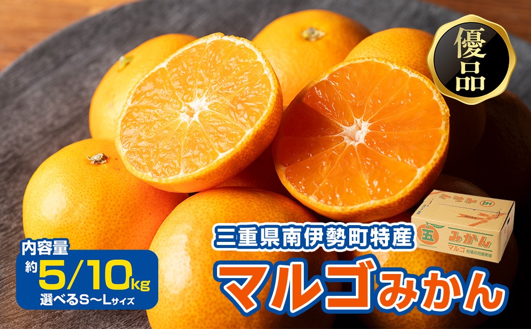 
            みかん 温州みかん 約5～10kg (S～Lサイズ) 選べる容量 サイズ 優品 家庭用 期間限定 柑橘 蜜柑 mikan フルーツ 果物 くだもの 国産 ブランド 三重県 伊勢 志摩 南伊勢町 マルゴみかん JA伊勢
          