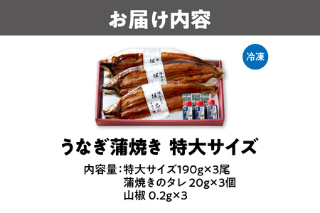【なにわの名工】炭火手焼き鰻うなぎ 特大3尾 うなぎ_OS157-0002