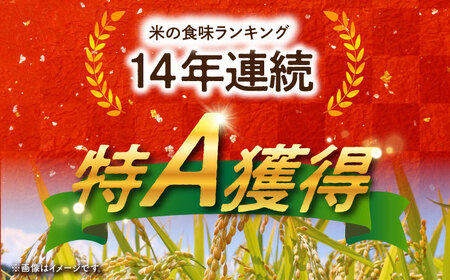 【ご飯でご飯が食べられる！】さがびより 玄米 5kg（一等米）【一九FARM】[HDC002]