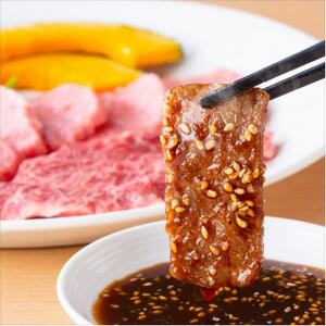 A5等級飛騨牛:焼肉用500g　ロース又は肩ロース肉【配送不可地域：離島】【1538418】